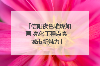 信阳夜色璀璨如画 亮化工程点亮城市新魅力